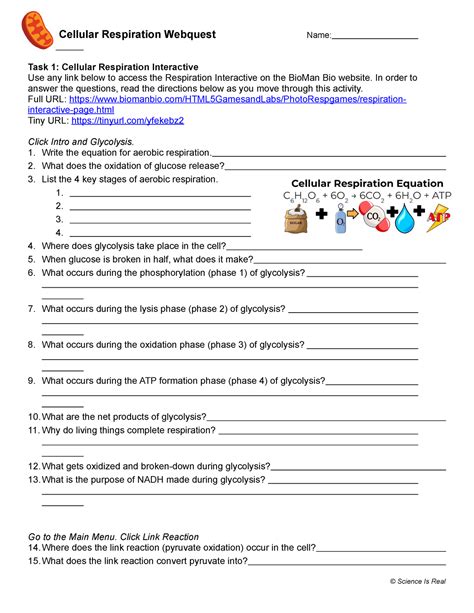 Answer Key To The Cellular Respiration Webquest Epub