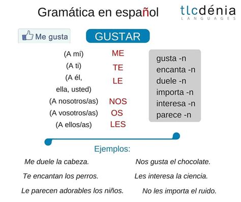 Answer To Gramatica B The Verb Gustar Kindle Editon