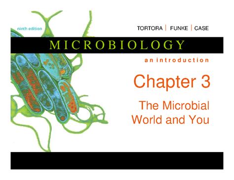 Answer To Questions In Microbiology 9th Edition Bing Doc