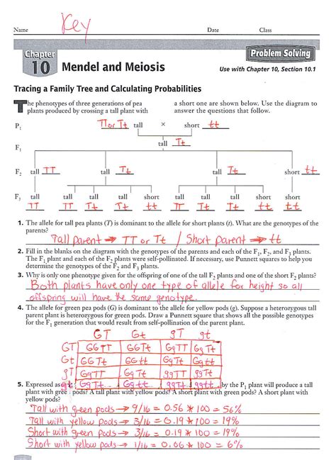 Answer To Vocabulary Practice Meiosis Mendel Reader