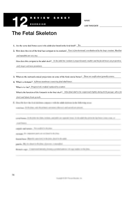 Answers For Exercise 12 The Fetal Skeleton Reader