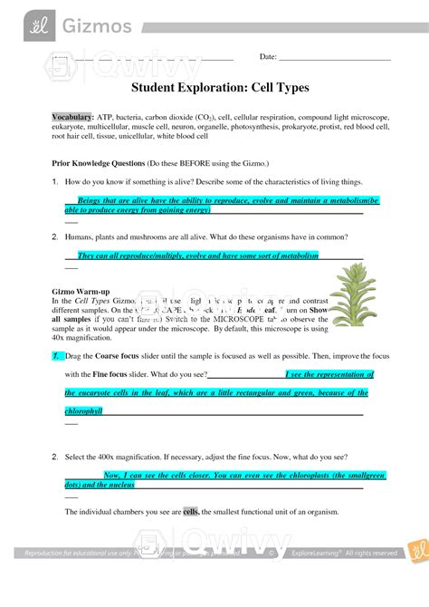 Answers For Gizmo Student Exploration Sheet Doc