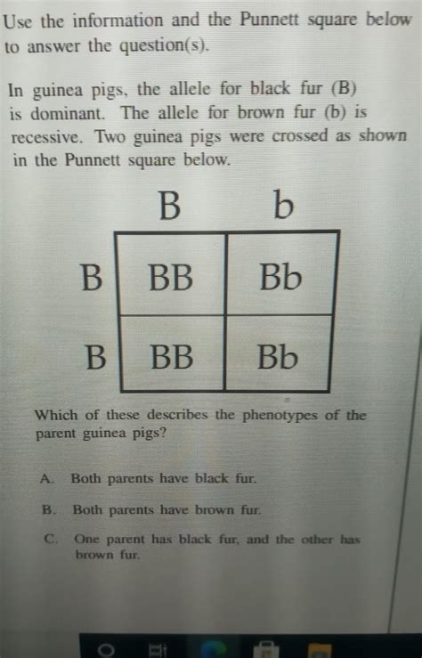 Answers Guinea Pig Punnett Square Epub