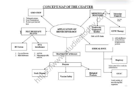 Answers Of Biotechnology Concept Map PDF