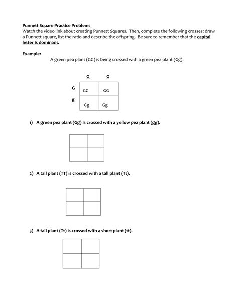 Answers Probability Punnett Squares Section 2 PDF