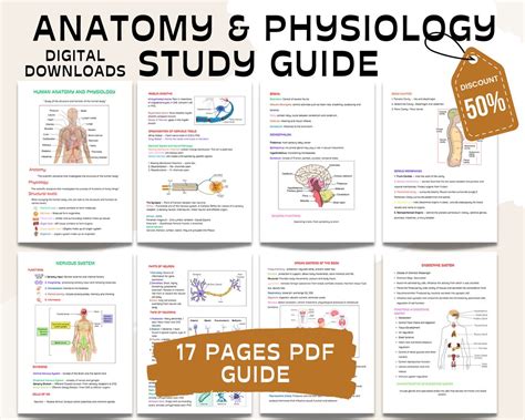 Answers To Anatomy Physiology Study Guide PDF