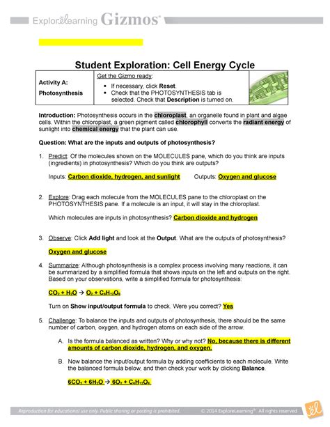 Answers To Cell Energy Cycle Gizmo Kindle Editon