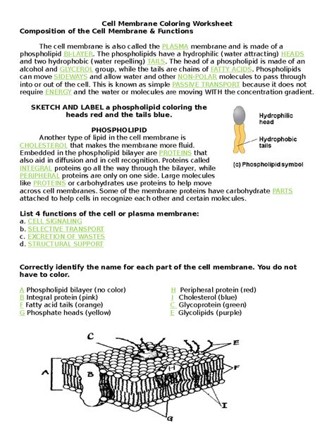 Answers To Cell Membrane Coloring Worksheet Epub