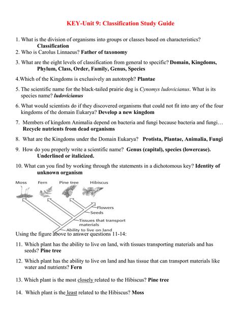 Answers To Classification Of Life Study Guide Doc