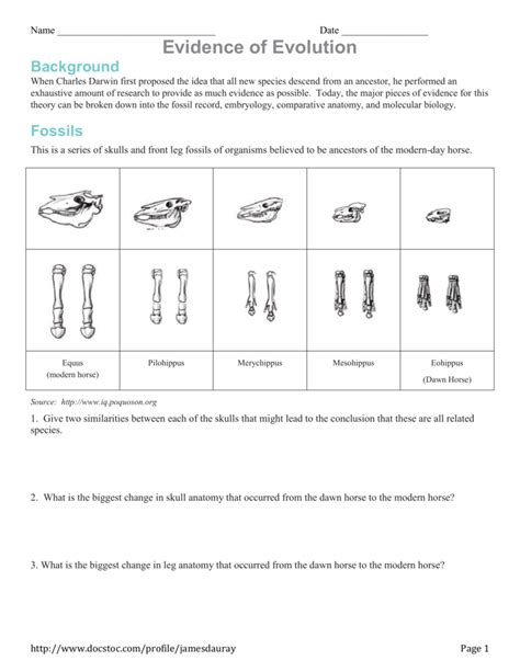 Answers To Evidence Of Evolution Packet Kindle Editon