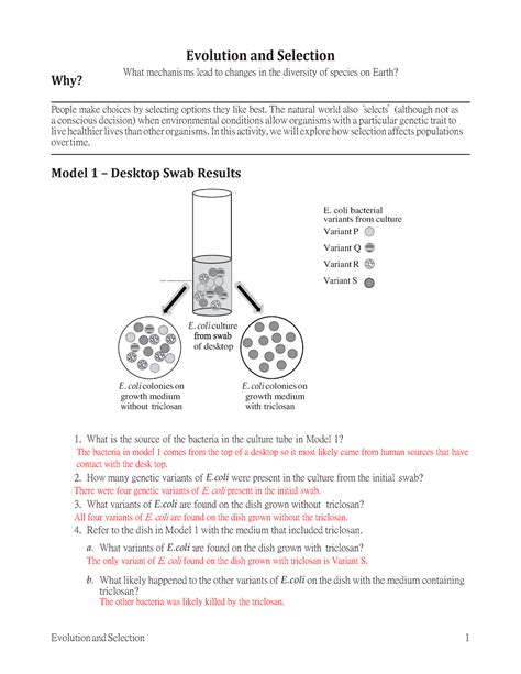 Answers To Evolution And Selection Pogil Doc