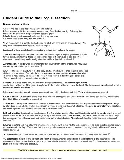 Answers To Frog Dissection Lab Epub