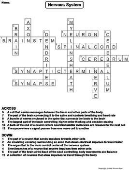 Answers To Health Nervous System Crossword Puzzle Epub