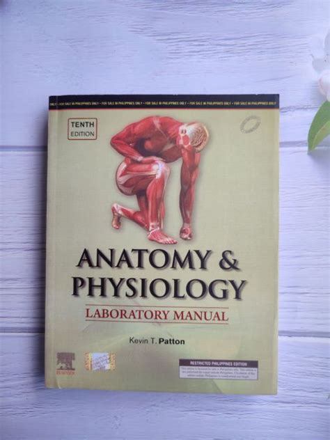 Answers To Holes Anatomy Physiology Lab Manual PDF