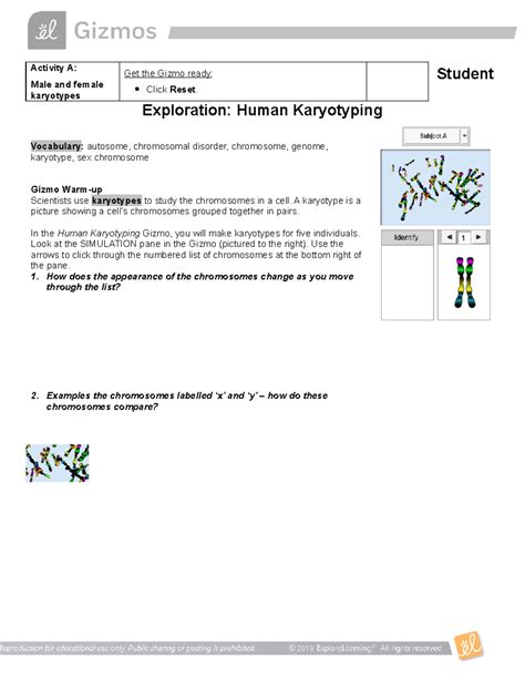 Answers To Human Karyotyping Gizmo Doc