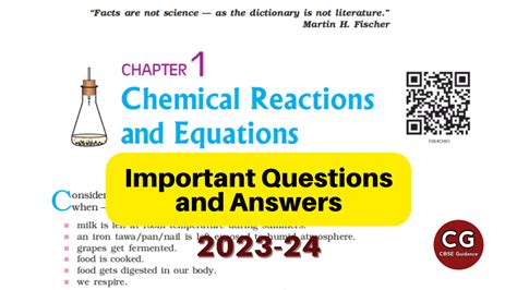 Answers To Important Questions Chemeketa Kindle Editon