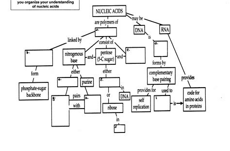 Answers To Nucleic Acid Concept Map PDF