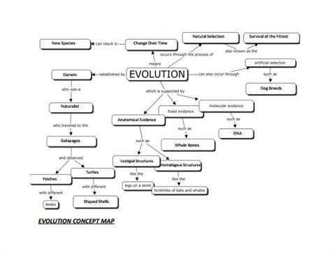 Answers To Patterns Of Evolution Concept Mapping Doc