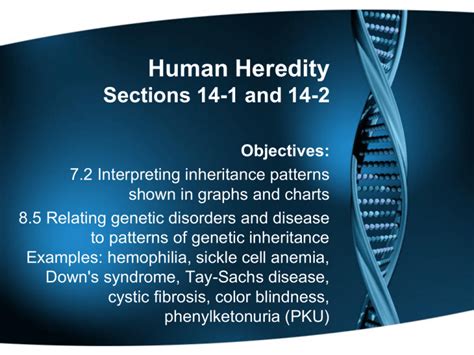 Answers To Section 14 1 Human Heredity Doc