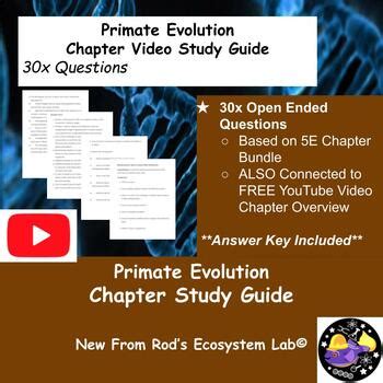 Answers To Study Guide Primate Evolution Doc