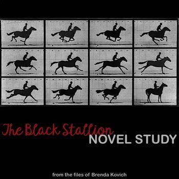 Answers To The Black Stallion Ar Test Ebook Reader