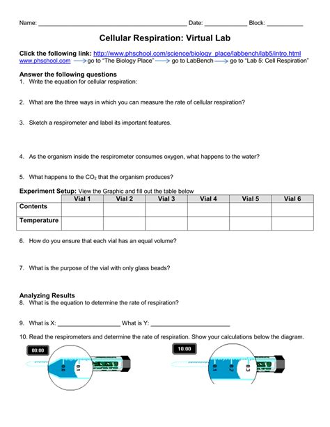 Answers To The Cellular Respiration Virtual Lab Doc