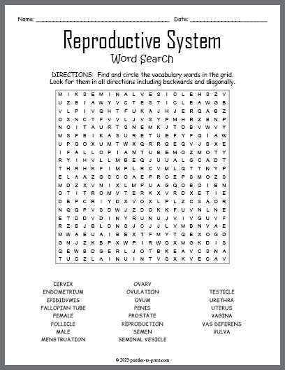 Answers To The Reproductive System Wordsearch PDF