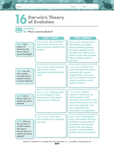 Answers To The Theory Of Evolution Doc