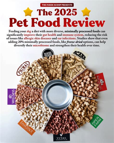 Ant-Based Pet Food Review 2025: A Comparative Analysis