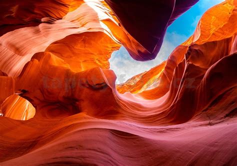 Antelopes in Slot Canyons: A Journey Through Beauty and Peril