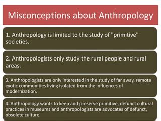 Anthropologists only study primitive cultures.