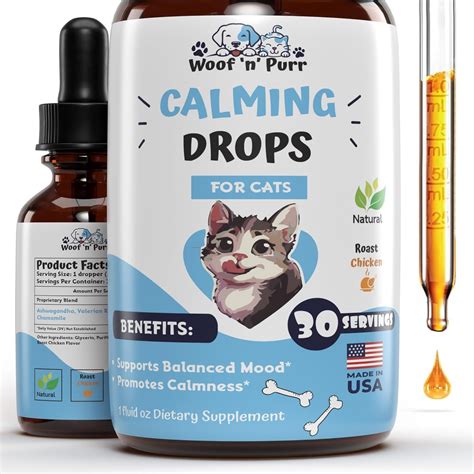 Anti-Anxiety Meds for Cats: 10,000+ Words of Essential Information