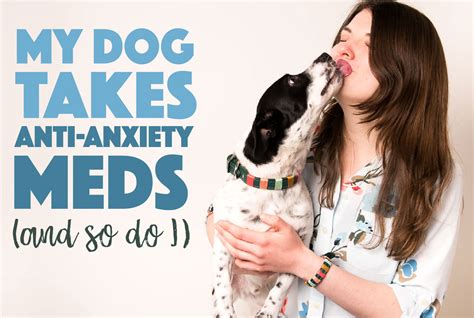 Anti-Anxiety Meds for Dogs: A Guide to Calming Your Canine Companion