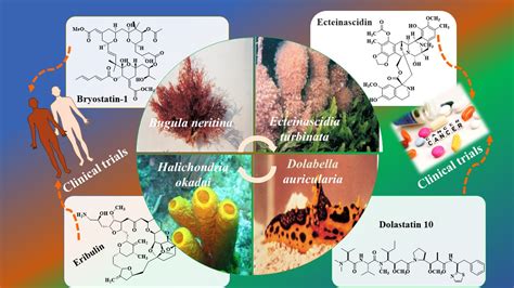 Anti-Inflammatory Drugs from Plant and Marine Sources Kindle Editon