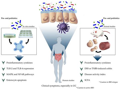 Anti-Inflammatory Effects: