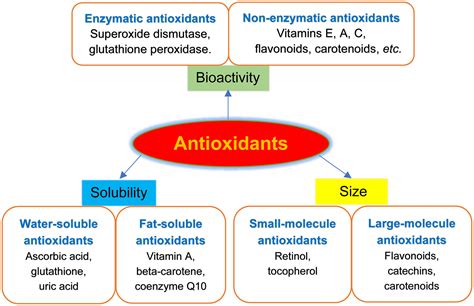 Anti-Inflammatory and Antioxidant Properties