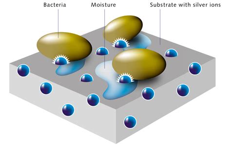 Antibacterial Coatings: