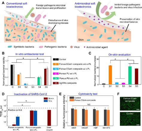 Antibacterial and Antiviral Properties: