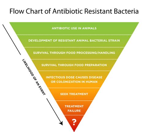 Antibiotic Resistance Chart