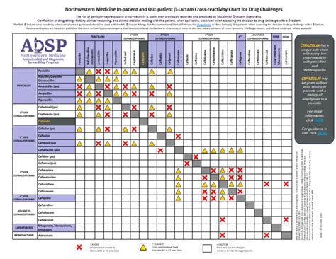 Antibiotics Cross Reactivity Chart