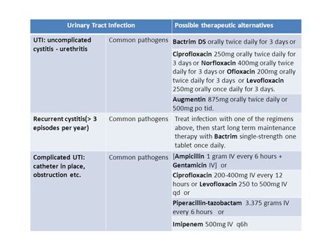 Antibiotics for E. coli Urine Infection: A Comprehensive Guide to Treatment and Prevention