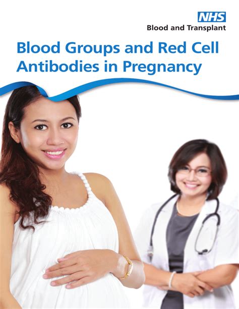 Antibodies Found in Blood During Pregnancy: A Comprehensive Guide