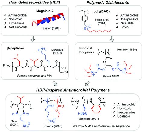 Antimicrobial Polymers PDF