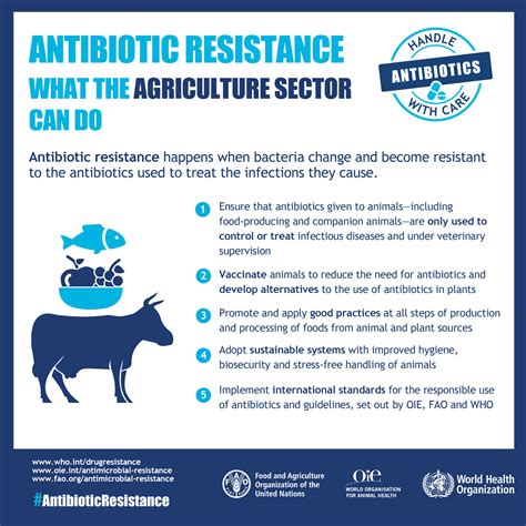 Antimicrobial Resistance A Crisis in Health Care 1st Edition Reader