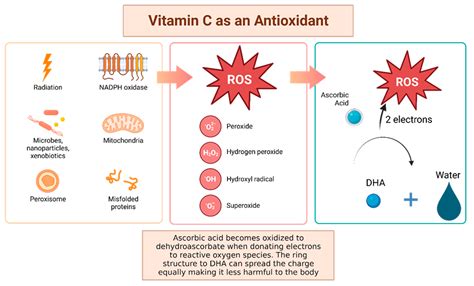 Antioxidant activity