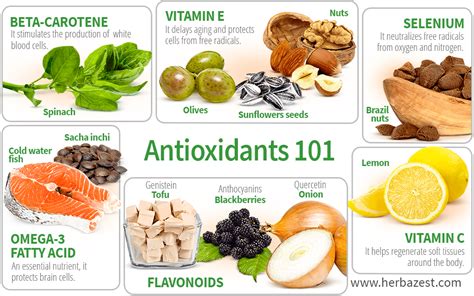 Antioxidants How to Not Get Sick Epub