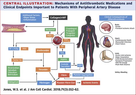Antithrombotic Drug Therapy in Cardiovascular Disease Doc