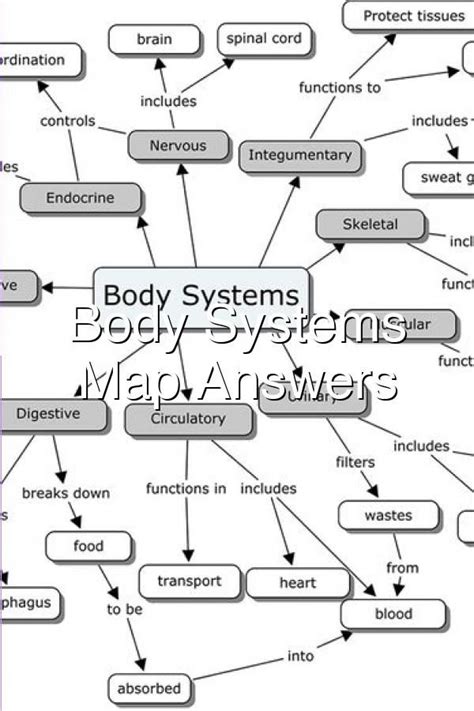 Anumal Body Systems Concept Map 2 Answers PDF