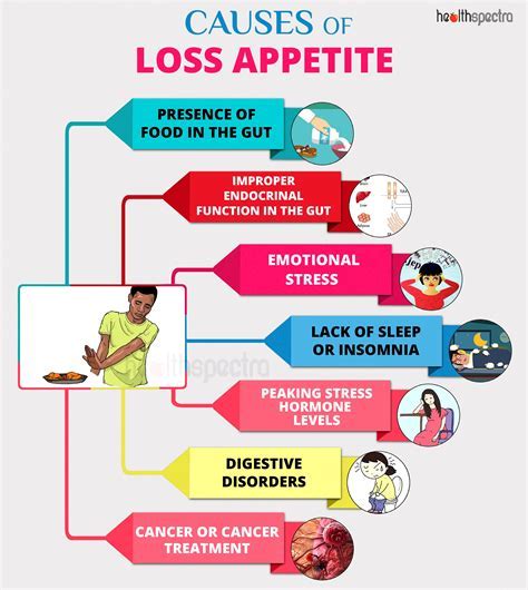 Anxiety and Loss of Appetite: A Vicious Cycle