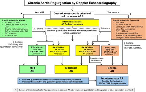 Aortic Regurgitation Medical and Surgical Management PDF